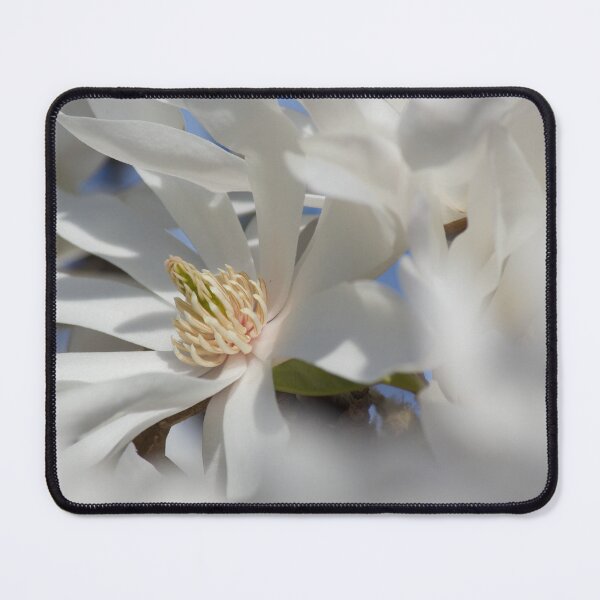 Item preview, Magnolia designed and sold by Kim Chi Thai.