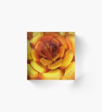 ~ INCENDIA ROSE ~ Acrylic Block
