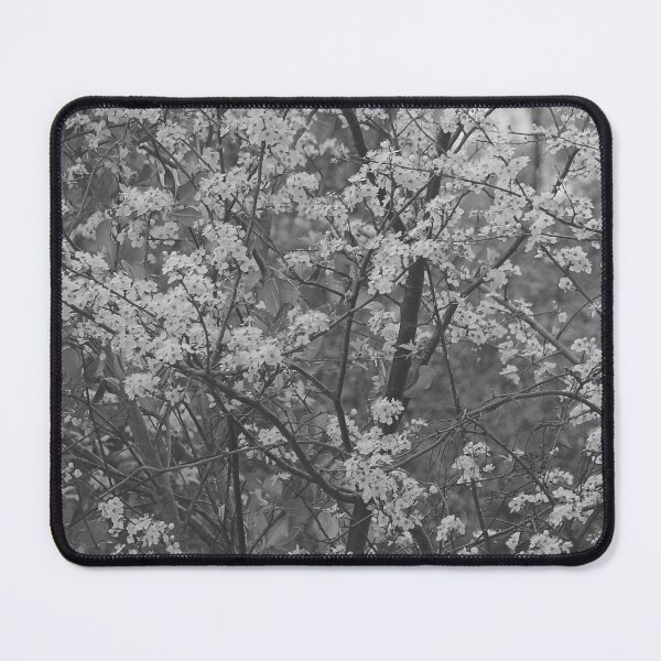Item preview, Prunus Blossom in Mono designed and sold by Kim Chi Thai.