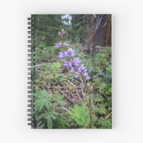Item preview, Lupine Flowers designed and sold by metgeophoto.