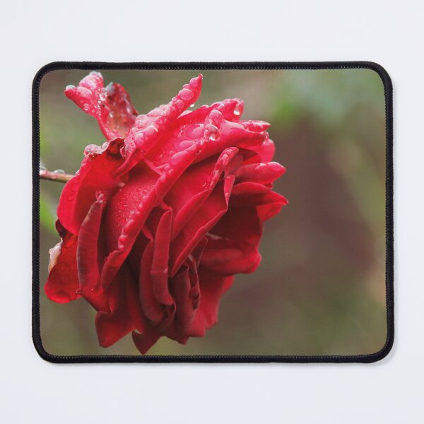 Item preview, Red Rose designed and sold by Kim Chi Thai.