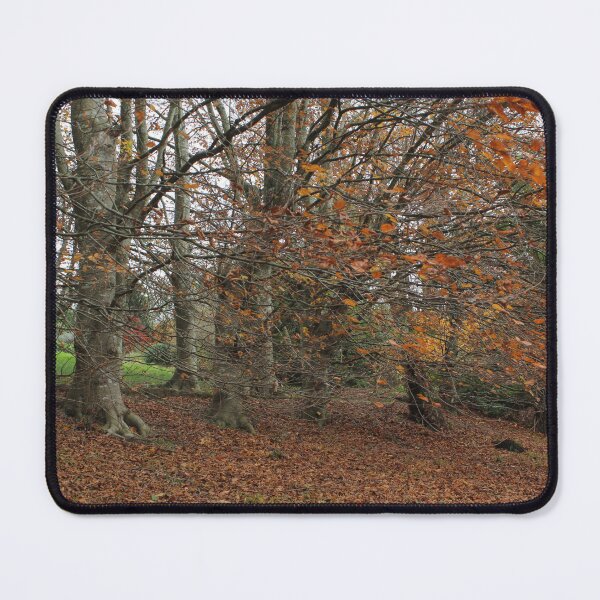 Item preview, Fall in Garden designed and sold by Kim Chi Thai.