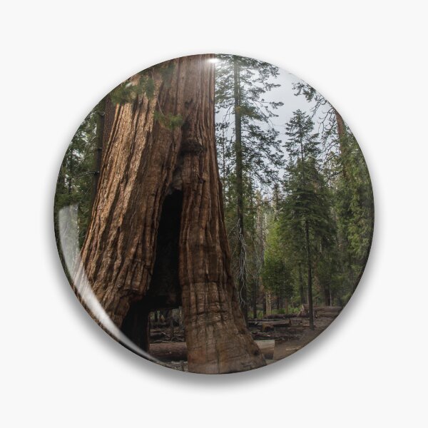 Item preview, California Tunnel Tree designed and sold by metgeophoto.