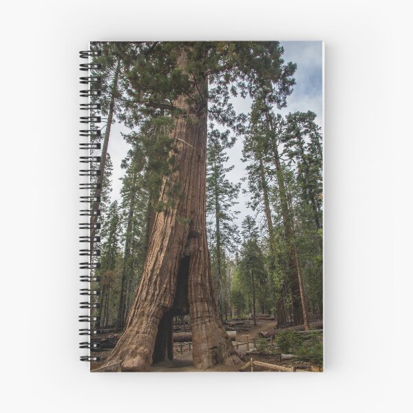 Item preview, California Tunnel Tree designed and sold by metgeophoto.