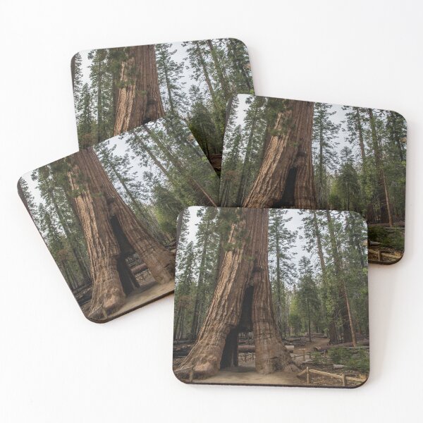 Item preview, California Tunnel Tree designed and sold by metgeophoto.