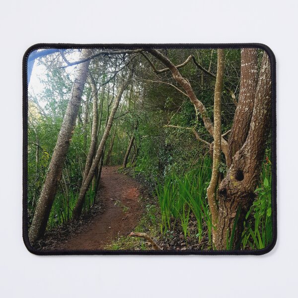 Item preview, Pathway in the forest designed and sold by Blissfully-MK.