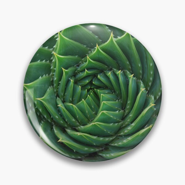 Item preview, Green Cactus Photography designed and sold by JoeStylistic.