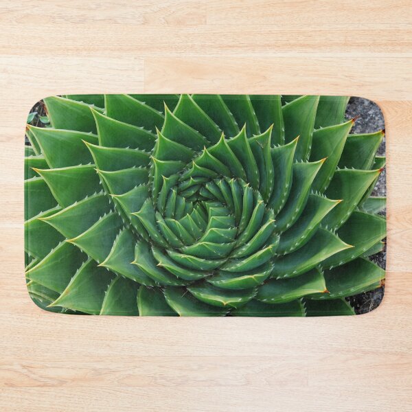 Item preview, Green Cactus Photography designed and sold by JoeStylistic.
