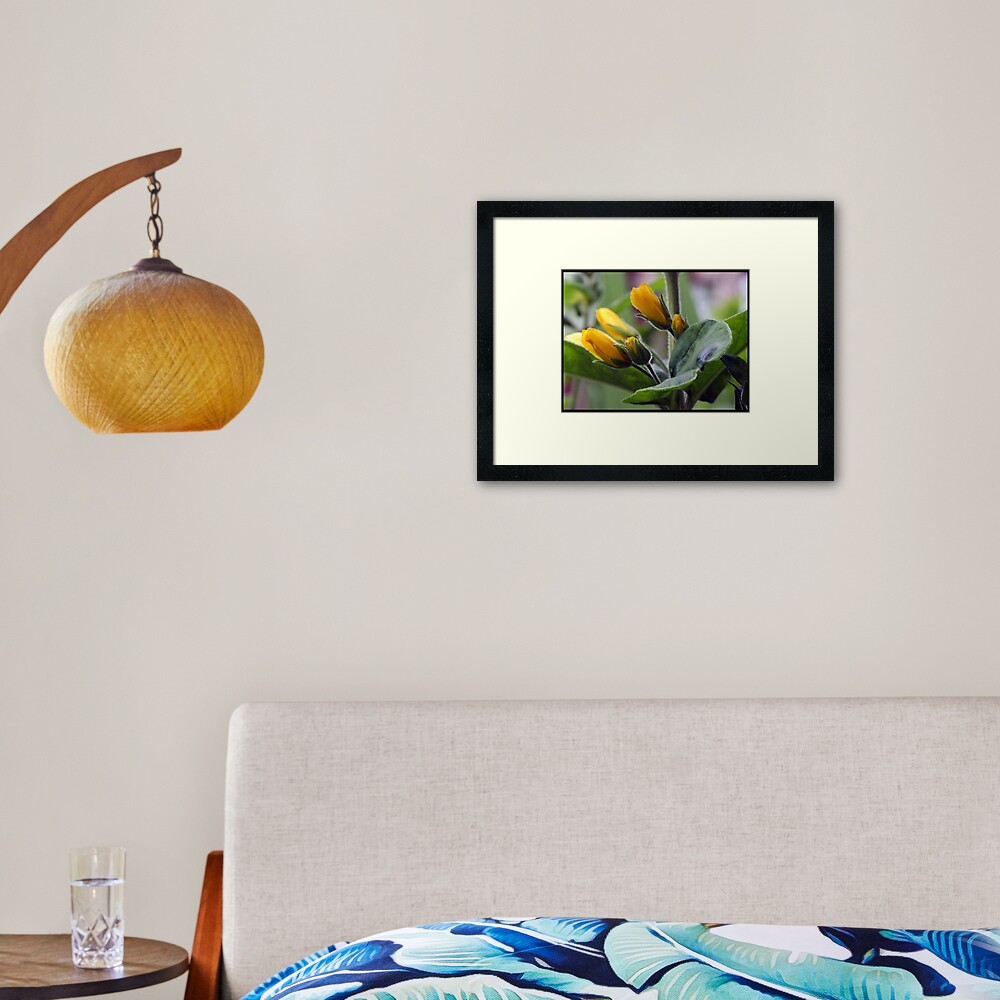 mellowyellow Framed Art Print