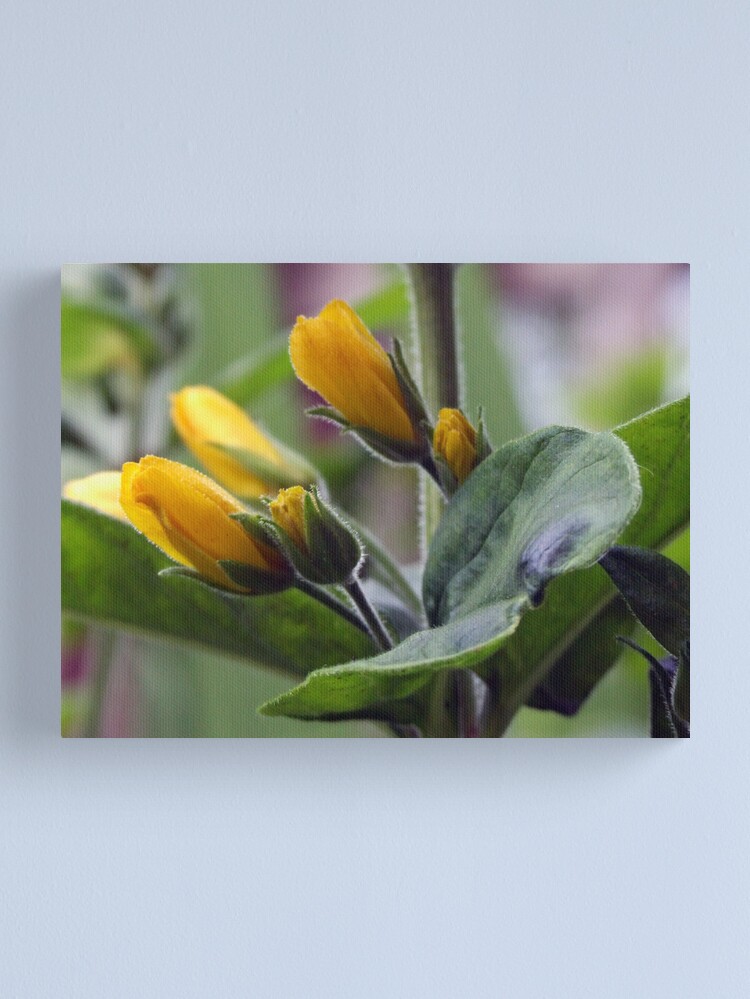 Alternate view of mellowyellow Canvas Print