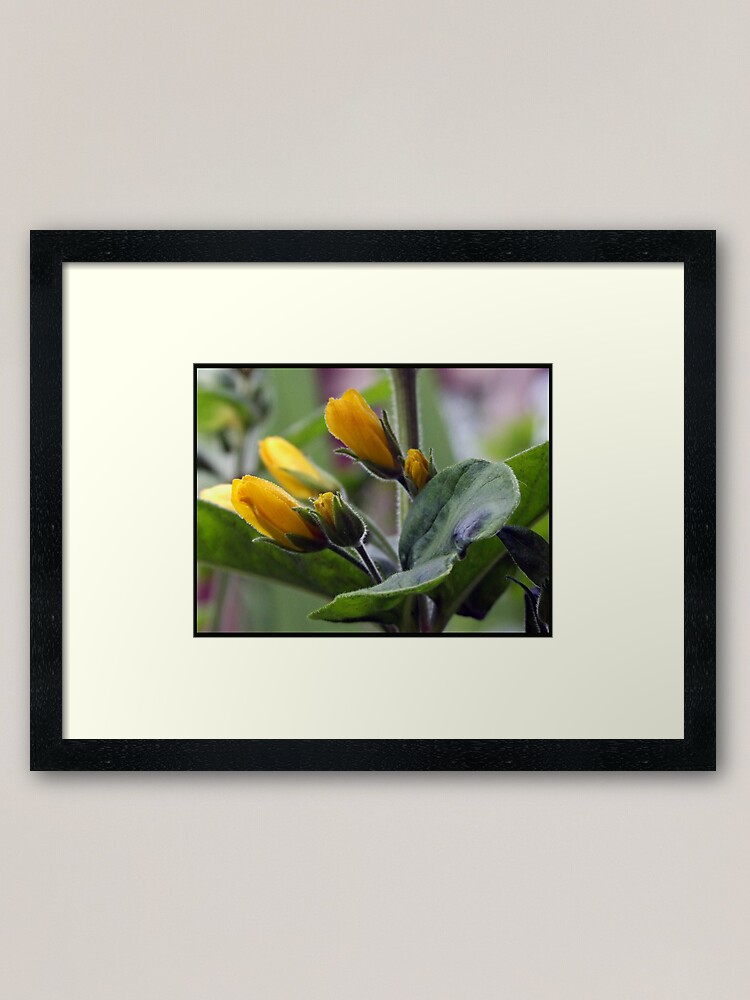 Alternate view of mellowyellow Framed Art Print