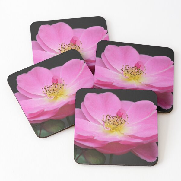 Item preview, Rose designed and sold by Kim Chi Thai.