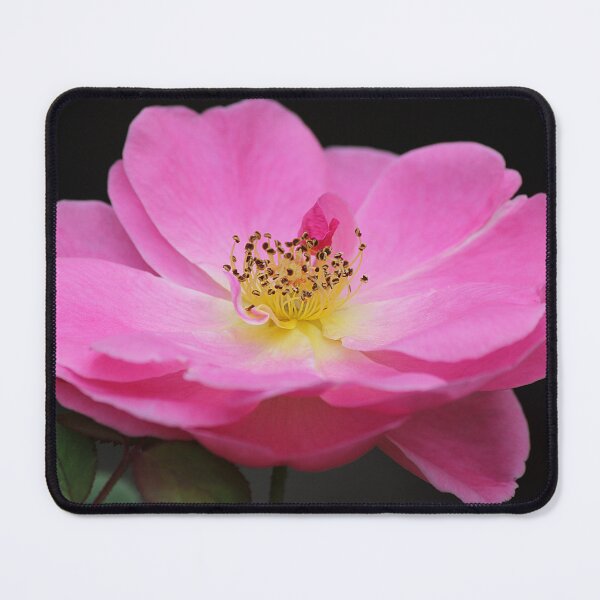 Item preview, Rose designed and sold by Kim Chi Thai.