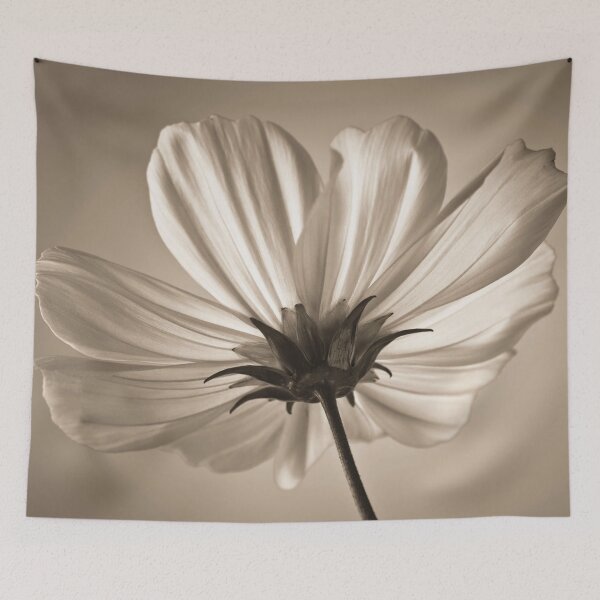 Item preview, Allure of the Cosmos designed and sold by assaf.