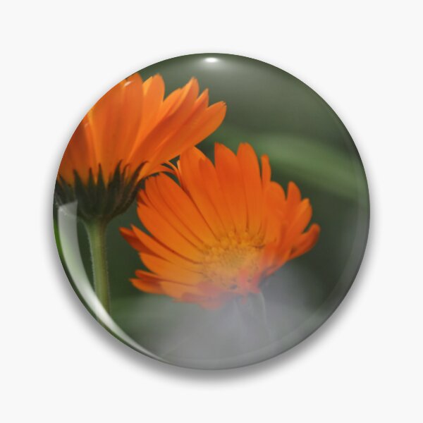 Item preview, Calendula designed and sold by Kim Chi Thai.