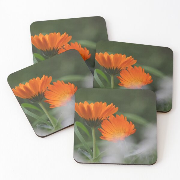 Item preview, Calendula designed and sold by Kim Chi Thai.