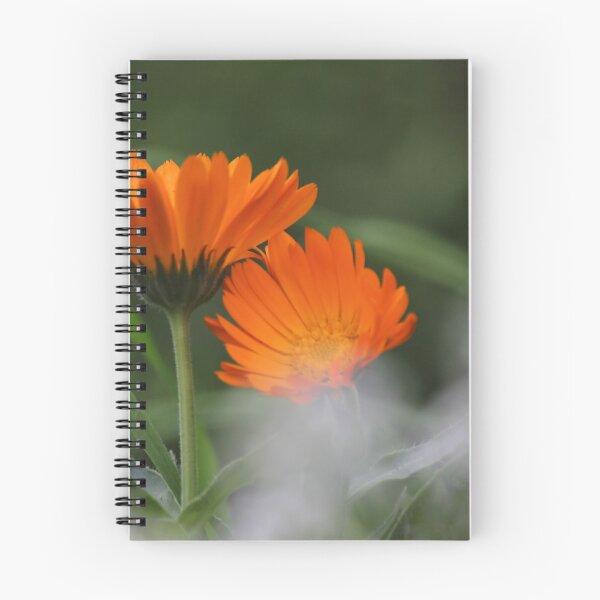 Item preview, Calendula designed and sold by Kim Chi Thai.
