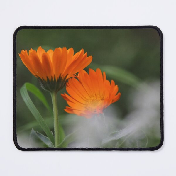Item preview, Calendula designed and sold by Kim Chi Thai.