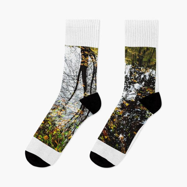 Item preview, Beautiful Water Pond with Tree Reflection and Autumn Leaves designed and sold by Mats Silvan.