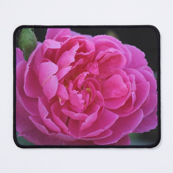 Item preview, Rose designed and sold by Kim Chi Thai.