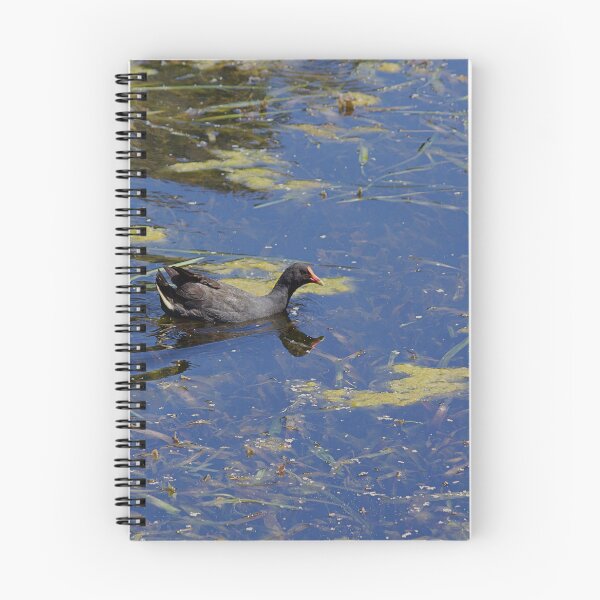Item preview, Duck designed and sold by Kim Chi Thai.