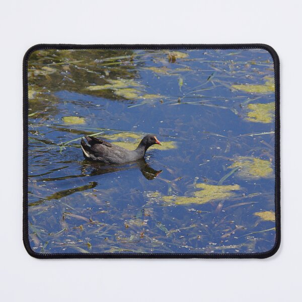 Item preview, Duck designed and sold by Kim Chi Thai.