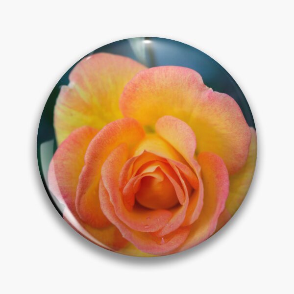 Item preview, Beatiful roses on nature background designed and sold by olena2552.