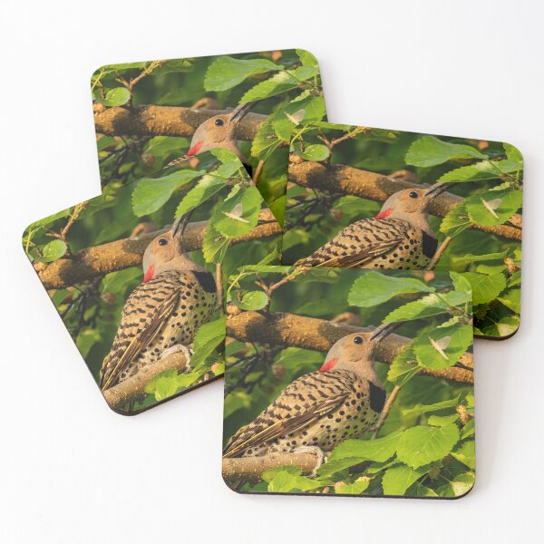 Item preview, Northern Flicker designed and sold by SkyeNotions.