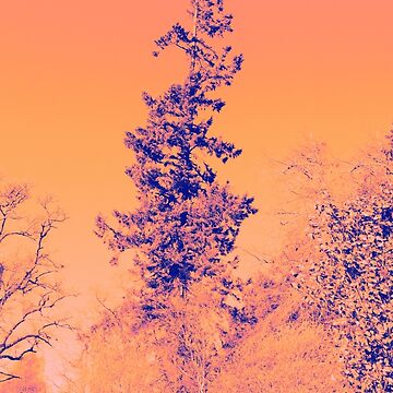 Artwork thumbnail, Alternative Memory Tree by Alternative Perspectives