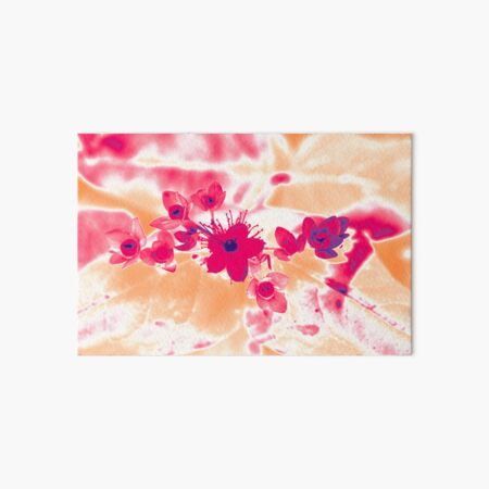 Alternative Hypericum Art Board Print