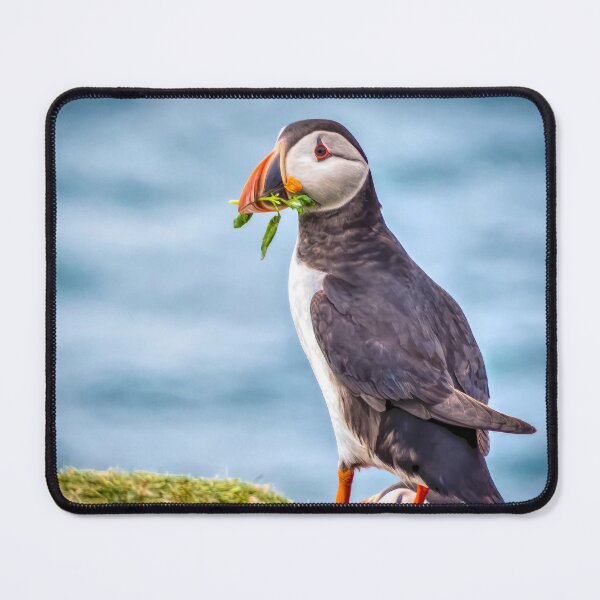 Item preview, Puffin Bearing Gifts designed and sold by Viv Thompson Photography .
