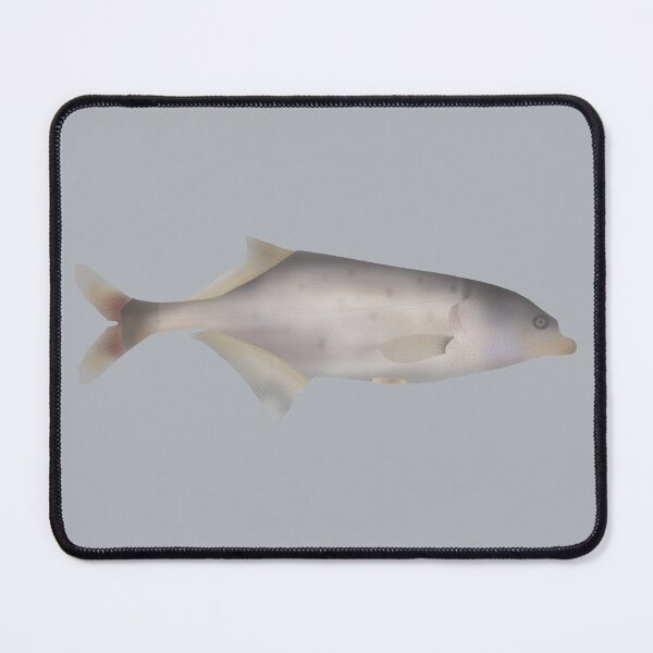 Item preview, Trunkfish designed and sold by fishfolkart.