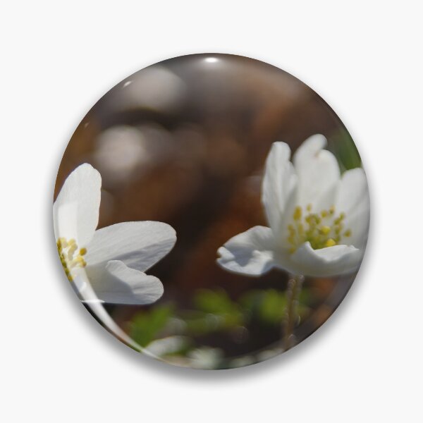 Item preview, Wood Anemones designed and sold by Calidris Fotografie Steffi & Ben Köppler.