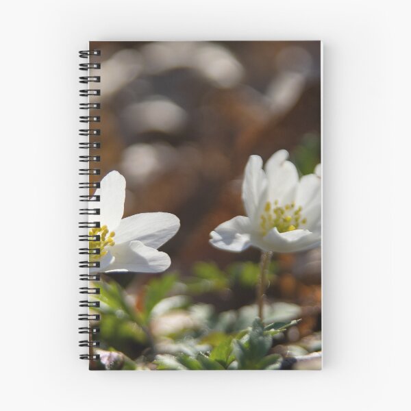 Item preview, Wood Anemones designed and sold by Calidris Fotografie Steffi & Ben Köppler.