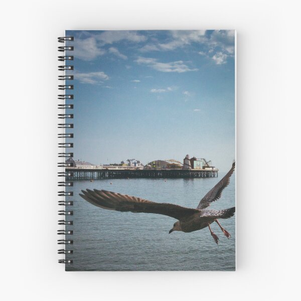 Item preview, Swooping designed and sold by Moose-Noose.