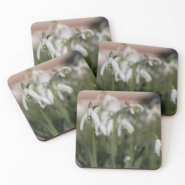 Item preview, Snowdrops designed and sold by Calidris Fotografie Steffi & Ben Köppler.