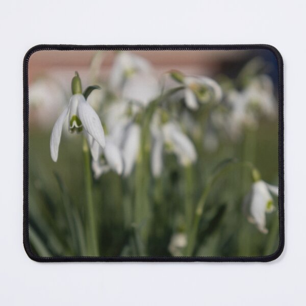 Item preview, Snowdrops designed and sold by Calidris Fotografie Steffi & Ben Köppler.
