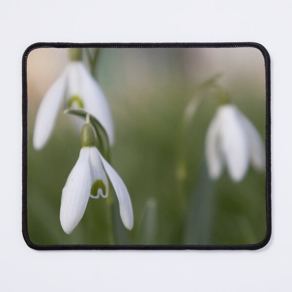 Item preview, Snowdrops designed and sold by Calidris Fotografie Steffi & Ben Köppler.