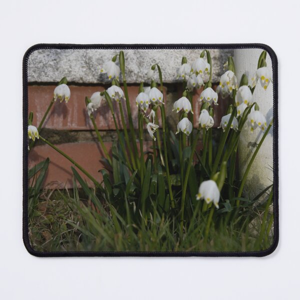Item preview, Spring Snowflakes designed and sold by Calidris Fotografie Steffi & Ben Köppler.