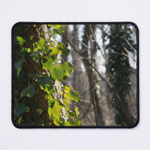 Item preview, Ivy designed and sold by Calidris Fotografie Steffi & Ben Köppler.