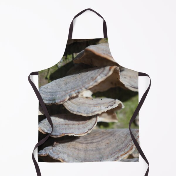 Item preview, Turkey Tail designed and sold by Calidris Fotografie Steffi & Ben Köppler.