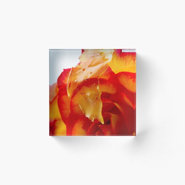 Item preview, Untitled designed and sold by DevilsLettucePh.