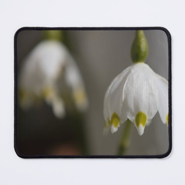 Item preview, Spring Snowflake designed and sold by Calidris Fotografie Steffi & Ben Köppler.