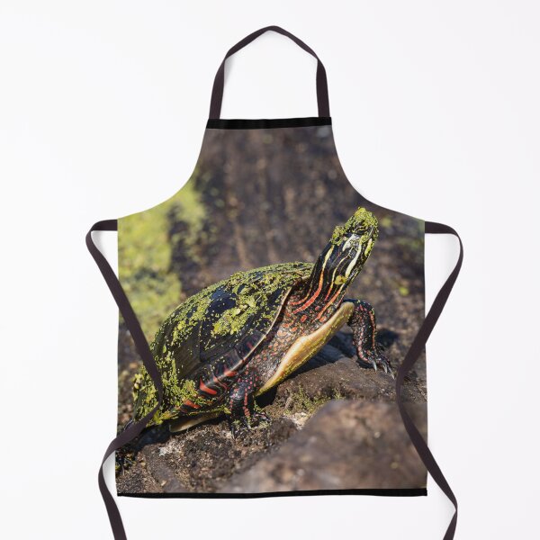 Item preview, Turtle designed and sold by SkyeNotions.