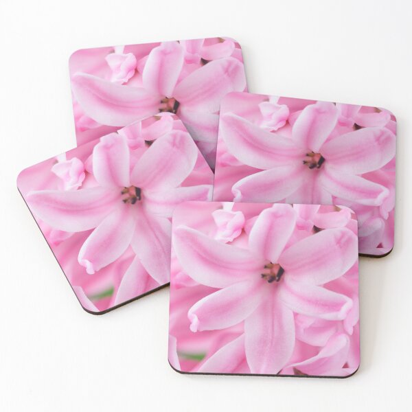 Item preview, Hyacinthus orientalis  'Pink Surprise'  Hyacinth  designed and sold by Chris Burrows.