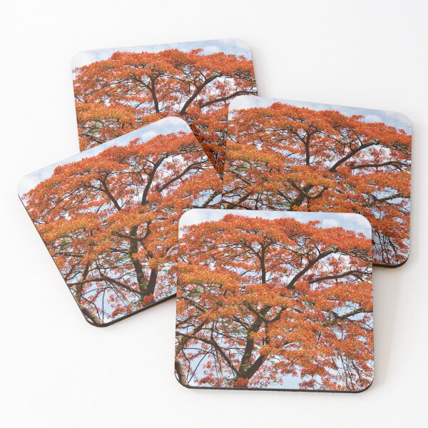 Item preview, A Flame Tree's Fiery Mane designed and sold by OTurnbullPhoto.