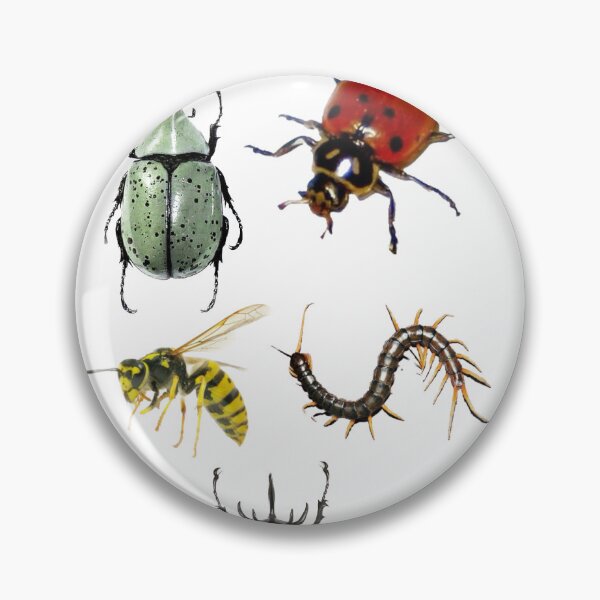 Item preview, bugs designed and sold by Jellyly.