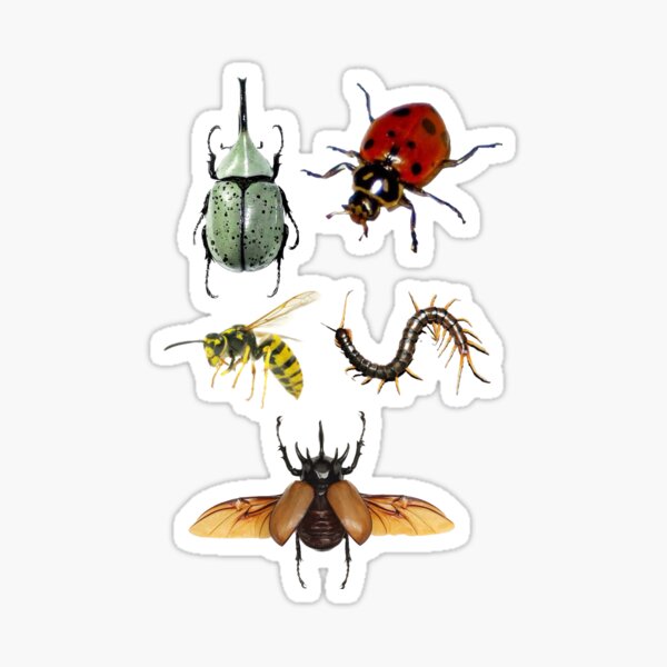 Item preview, bugs designed and sold by Jellyly.