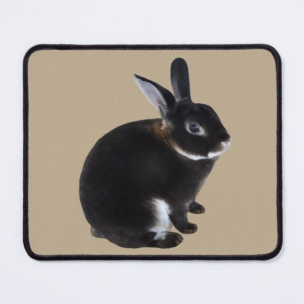 Item preview, Dark Brown and White Mini Rex Rabbit designed and sold by Susan Savad.