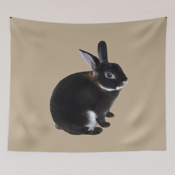 Item preview, Dark Brown and White Mini Rex Rabbit designed and sold by Susan Savad.
